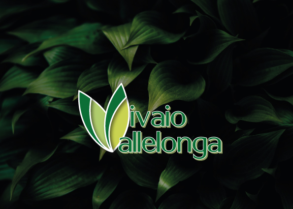 Vallelonga